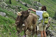 Pizzo dei Tre Signori (2554 m) da Ornica il 19 luglio 2020